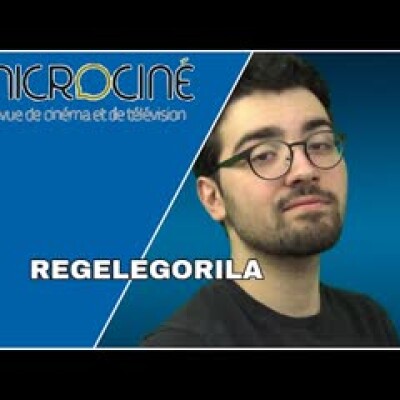 FAIS CROQUER feat. REGELEGORILA cover