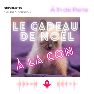 Le cadeau de Noël (fausse) bonne idée : adopter un chaton cover