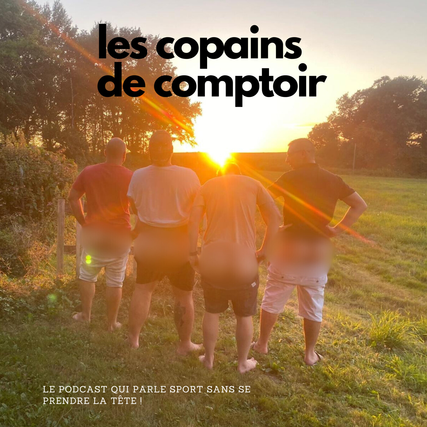 Les copains de comptoir podcast artwork
