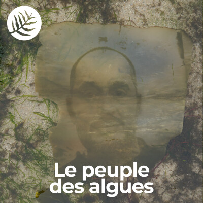 Le Peuple Des Algues : Alexandre Couillon - Ep6/10 cover