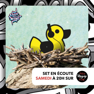 Check This Sound - DJ DUCKK - Live au Fabuleux Village - Evian 2025 (2026-01-24) cover