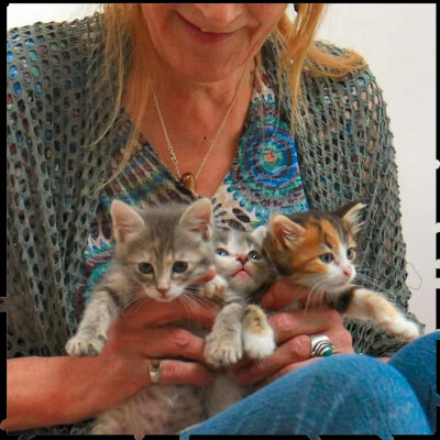 L'heure des asso épisode 44 - L'association Pattes de Velours, avec Nadine Barral et Alexandra Bocquet cover