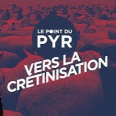 Sommes-nous de plus en plus crétins ? - P. Y. Rougeyron - # politique cover