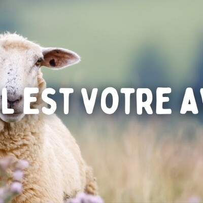 Parole et Évangile du jour | Mardi 12 décembre • Notre Dame de Guadalupe ! cover