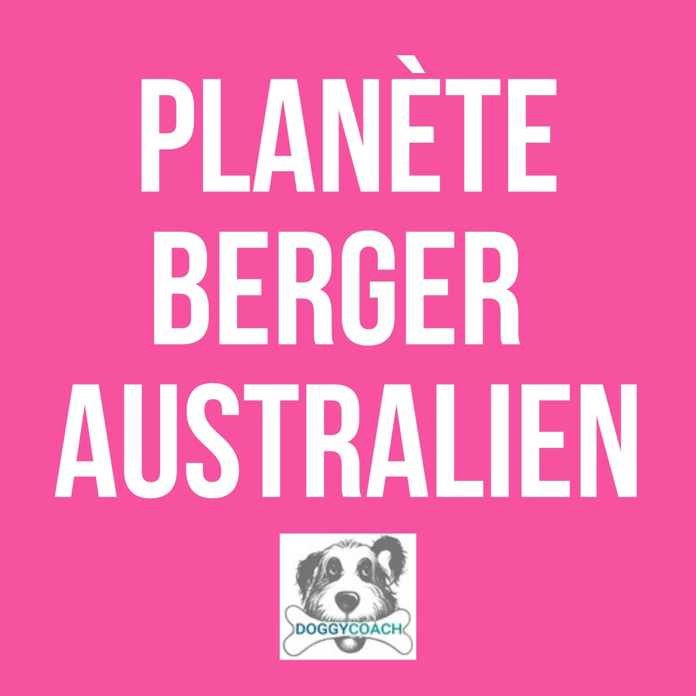Berger Australien l\'éducation canine positive