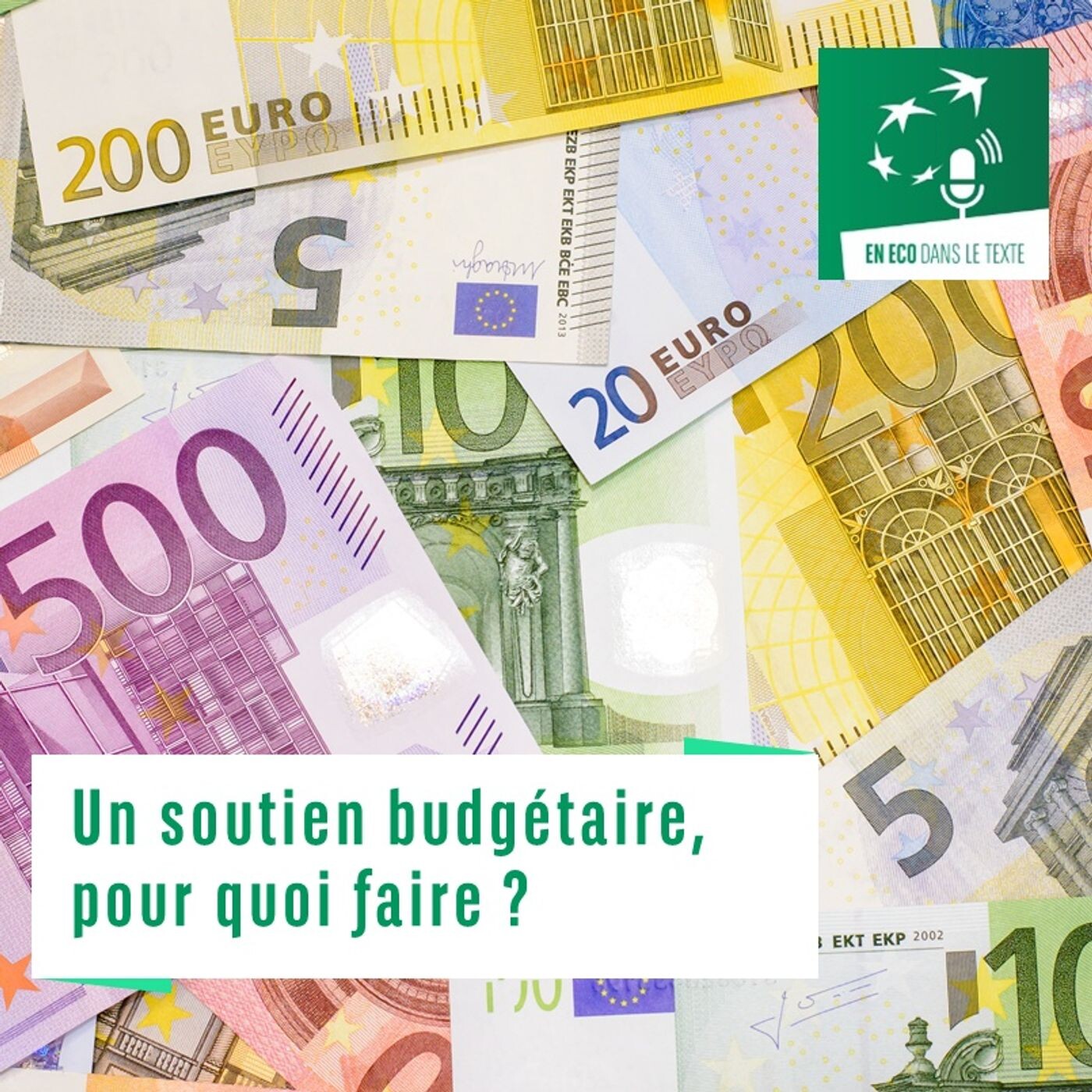 #01 – Un soutien budgetaire, pour quoi faire ? episode artwork