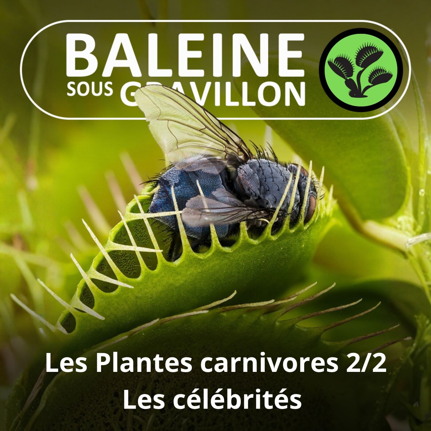 S02E38 Les Plantes carnivores 2/2 : Les espèces les plus incroyables (Enzo Defer, Les Dents de la Terre) episode artwork
