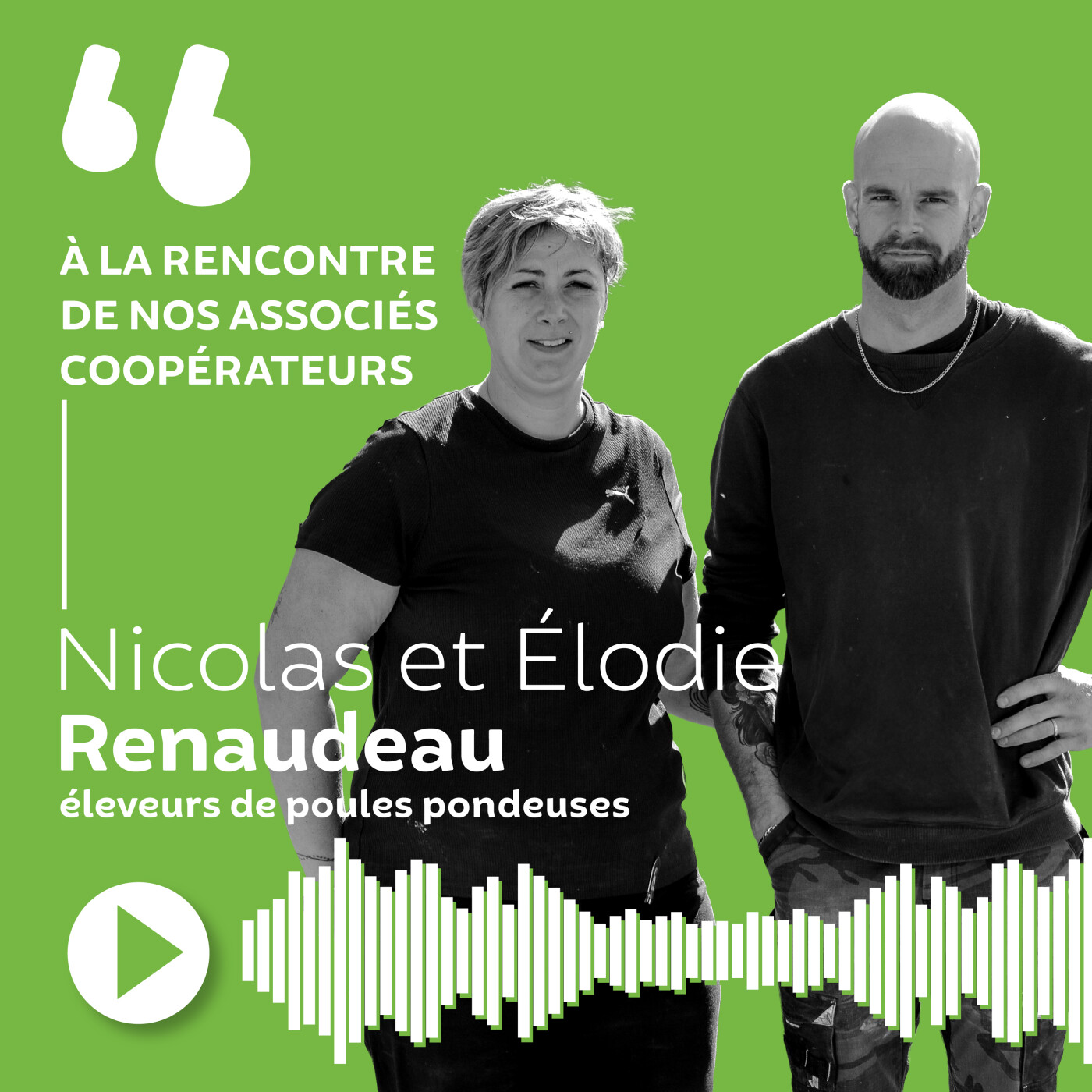 Nicolas et Élodie renaudeau - Éleveurs de poules pondeuses episode artwork
