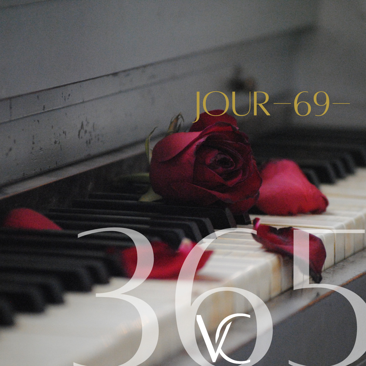 LIVE 365 by Valérie Carchi