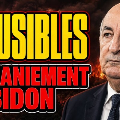 Algérie : 4 ministres virés… et c’est TOUT ?! La grande mascarade de Tebboune  cover