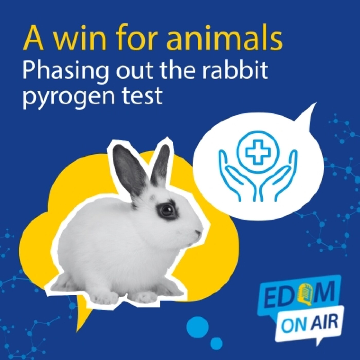 A win for animals – Phasing out the rabbit pyrogen test