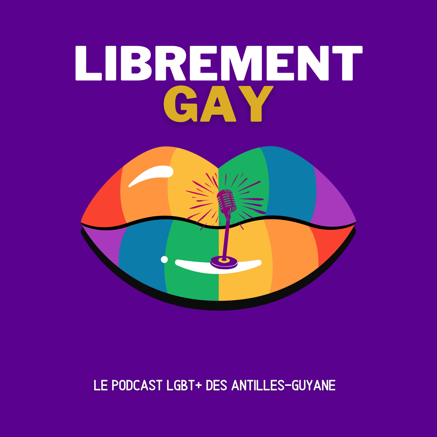 Librement Gay podcast artwork