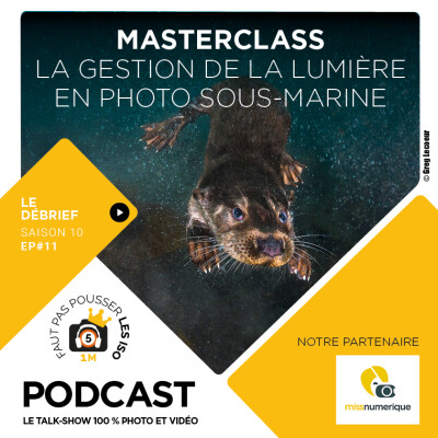 LE DÉBRIEF - S1011 - LA GESTION DE LA LUMIÈRE EN PHOTO SOUS-MARINE cover