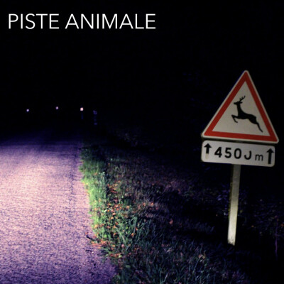 PISTE ANIMALE cover