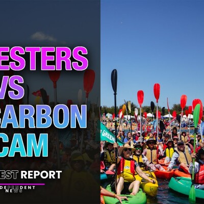 Coal Hard Cash: How Fossil Fuel Giants Rort Australia more than protestors | The West Report cover