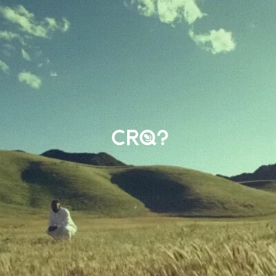 B*tch don't kill my vibe de Kendrick Lamar - CRQ en 2013 ? cover