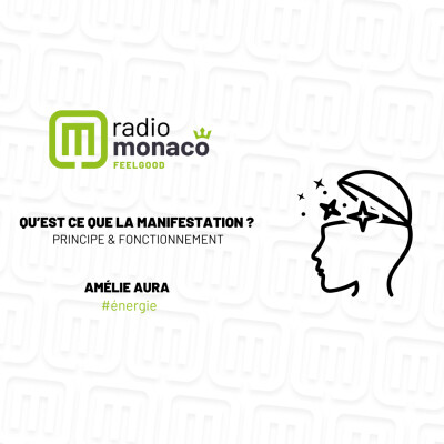 La manifestation : c'est quoi ? cover