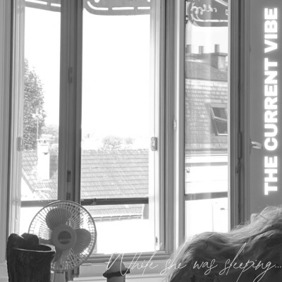WHILE SHE WAS SLEEPING cover