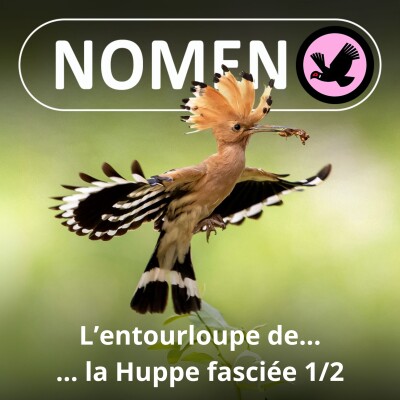 S04E30 L'entourloupe de la Huppe 1/2 cover
