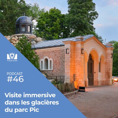 Visite immersive dans les Glacières du parc Pic cover