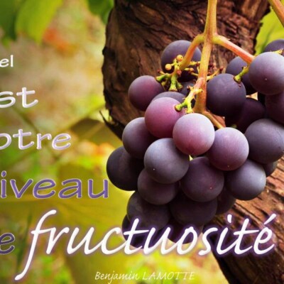 Quel est votre niveau de fructuosité ? cover