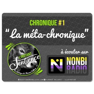MetaChronique / Chronique L'instant Sentience 1 (Florence Dellerie) cover