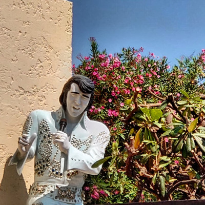 Parler pour faire Réfléchir et non pour Convaincre cover