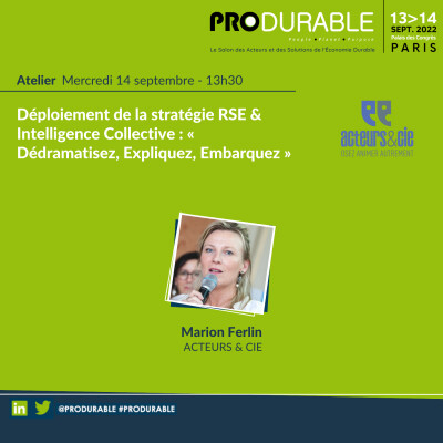 Acteurs & Cie - Déploiement de la stratégie RSE & Intelligence Collective : « Dédramatisez, Expliquez, Embarquez » cover
