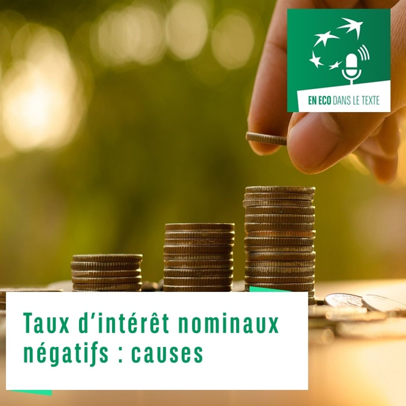 #01 – Taux d’intérêt nominaux négatifs : causes episode artwork