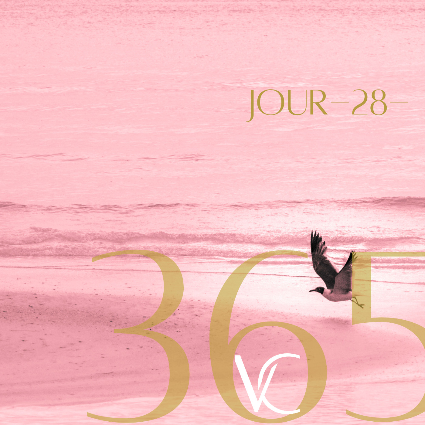 LIVE 365 by Valérie Carchi