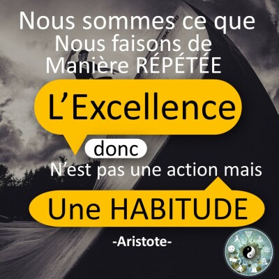 l'excellence est une habitude cover