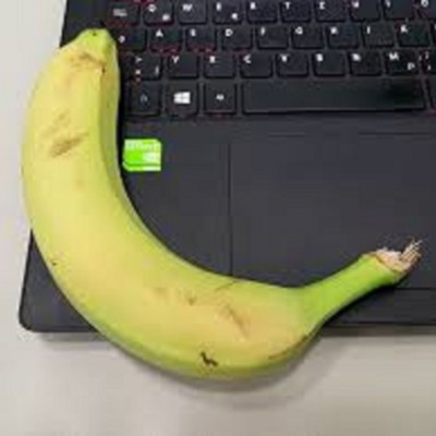 Confidée n°4 - Wankil studio cover