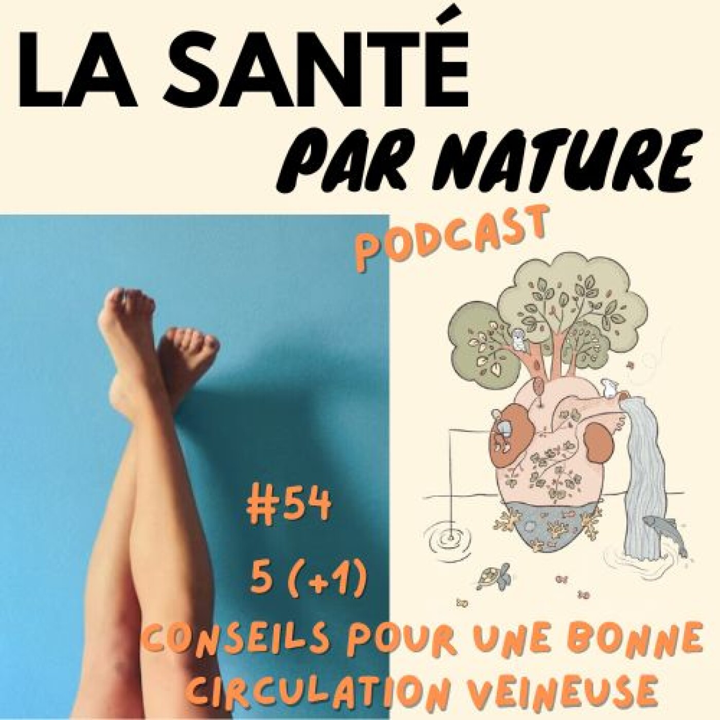 #54 - Cinq (+1) conseils de naturopathe pour un bonne circulation veineuse