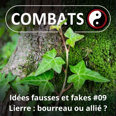 S06E09 Idées fausses : Le lierre, bourreau ou allié des arbres ? cover