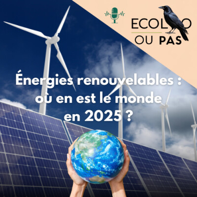 Énergies renouvelables : où en est le monde en 2025 ? cover