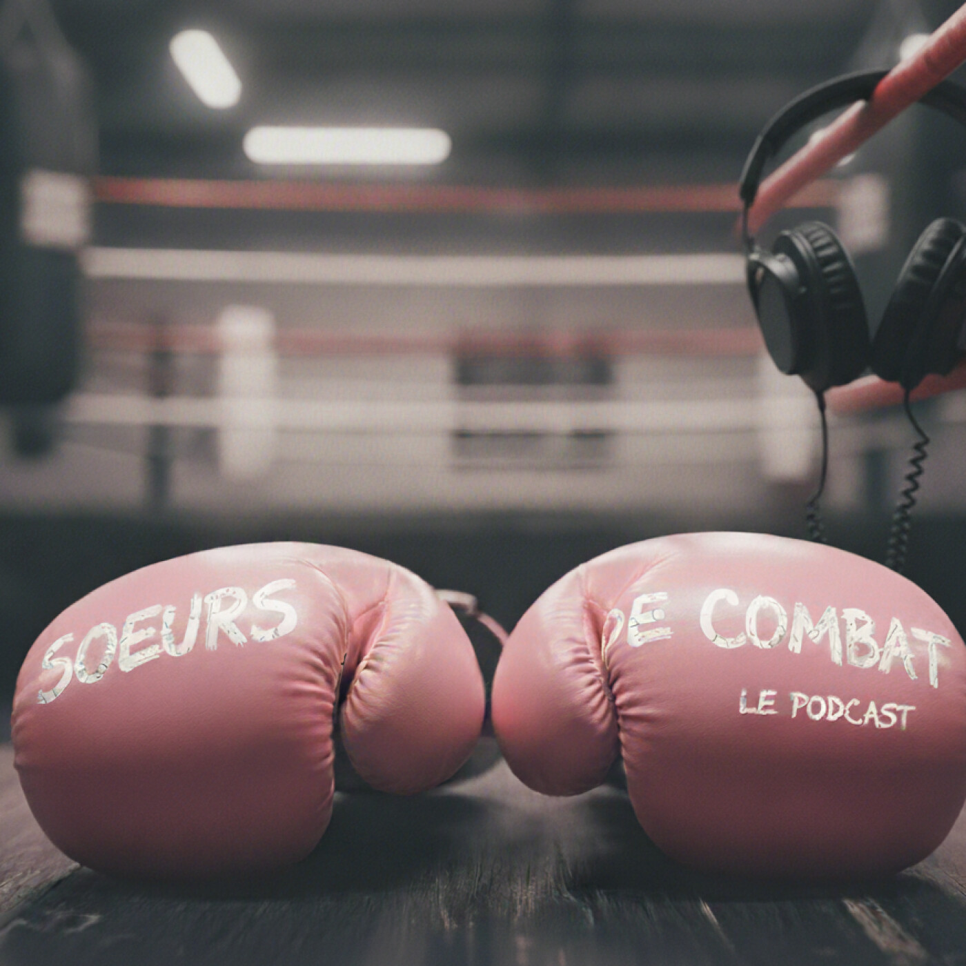 Sœurs de combat - La femme par les femmes