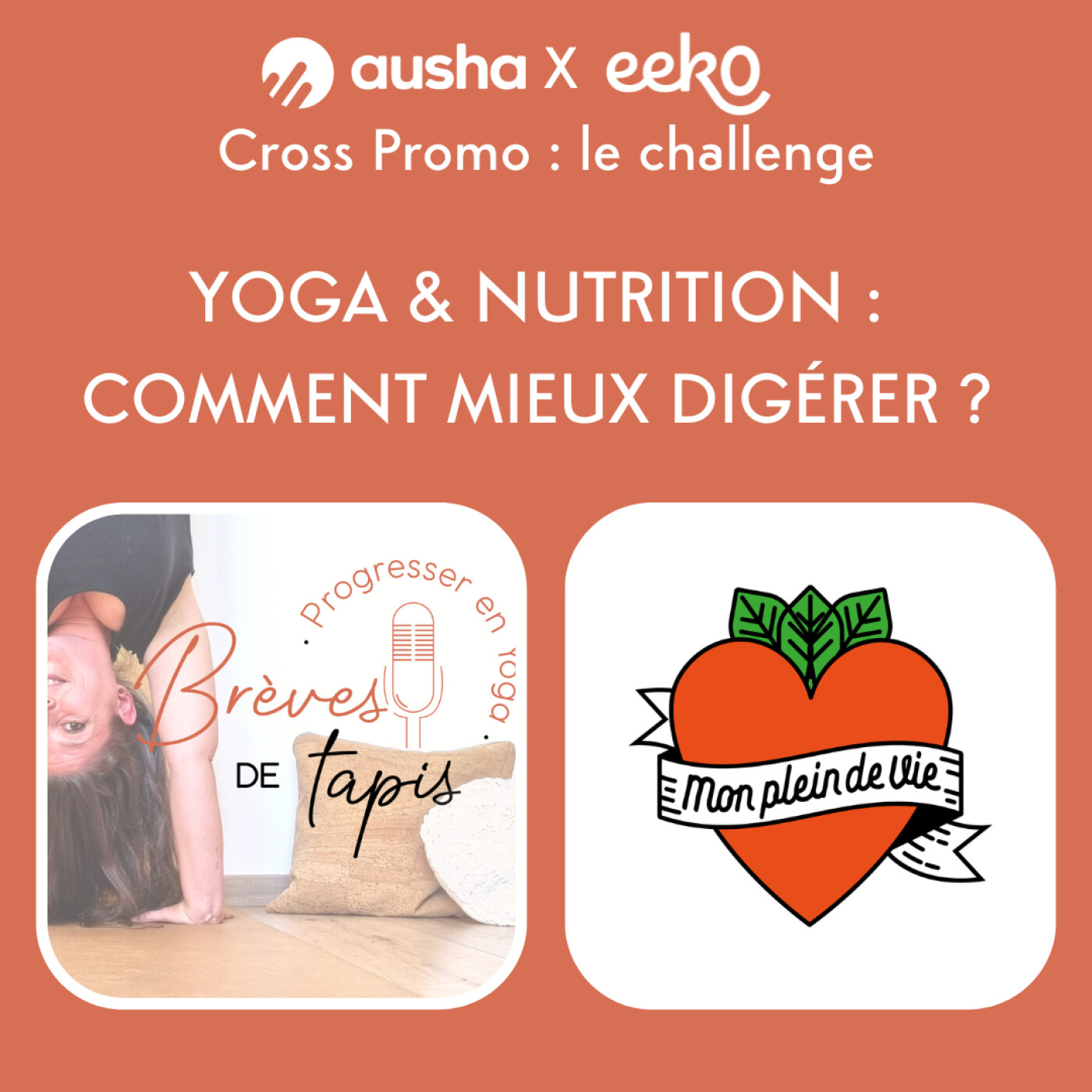 Brèves de Tapis : progresser en Yoga