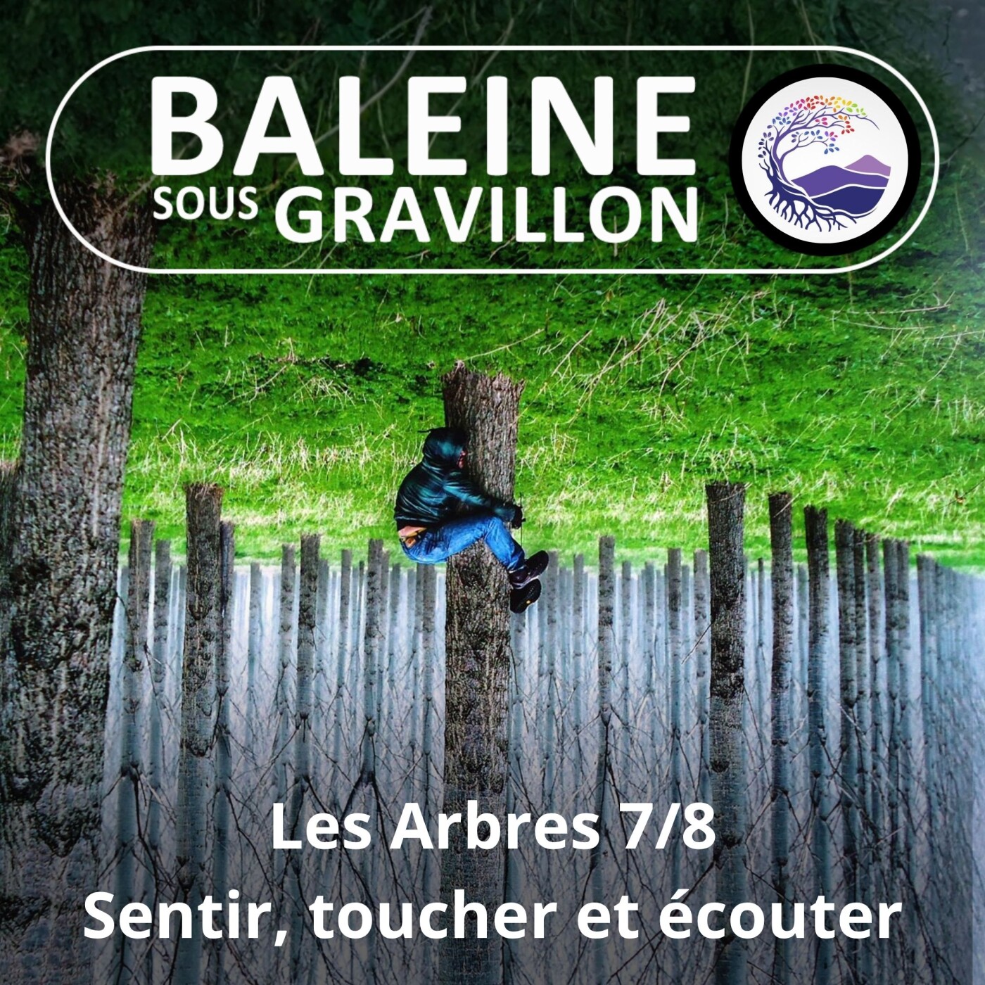 S03E86 Les Arbres 7/8 : Sentir, toucher, écouter et... grimper un arbre (Ernst Zürcher) episode artwork