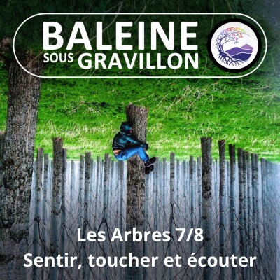 S03E86 Les Arbres 7/8 : Sentir, toucher, écouter et... grimper un arbre (Ernst Zürcher) cover