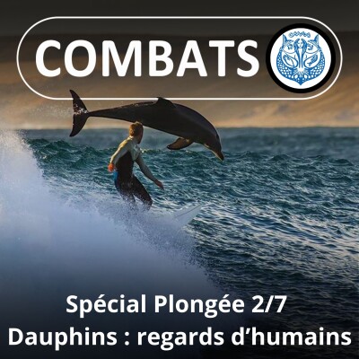 SPÉCIAL PLONGÉE 2/7 : Dauphins/humains, des relations souvent fantasmées cover
