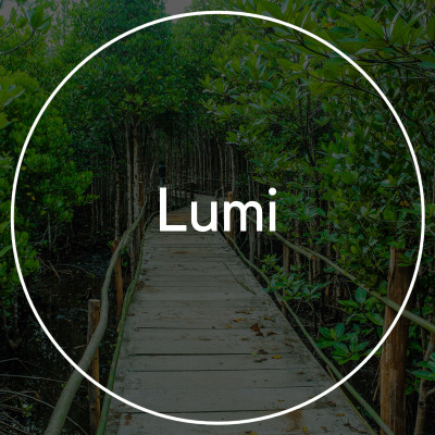 Lumi cover