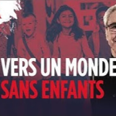 Crise démographique : Vers un monde sans enfant - R. Debord - # politique cover