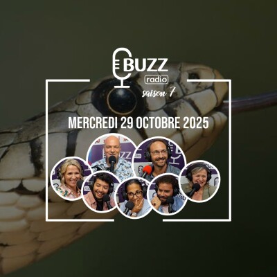 Mercredi 29 octobre 2025 cover