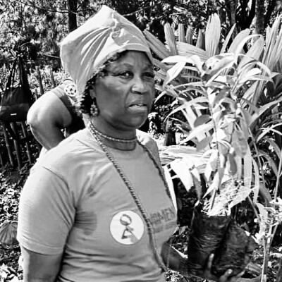 Nous renonçons à ce modèle de développement de façon concrète cover