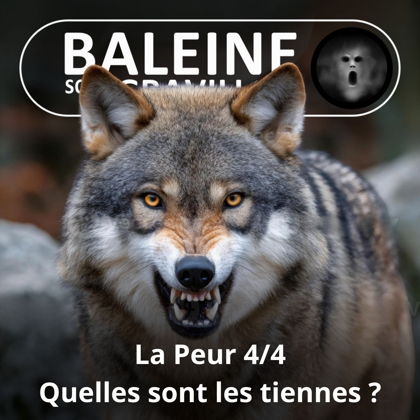 S06E04 La peur 4/4 : Quelles sont vos pires peurs ? episode artwork