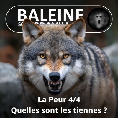 S06E04 La peur 4/4 : Quelles sont vos pires peurs ? cover