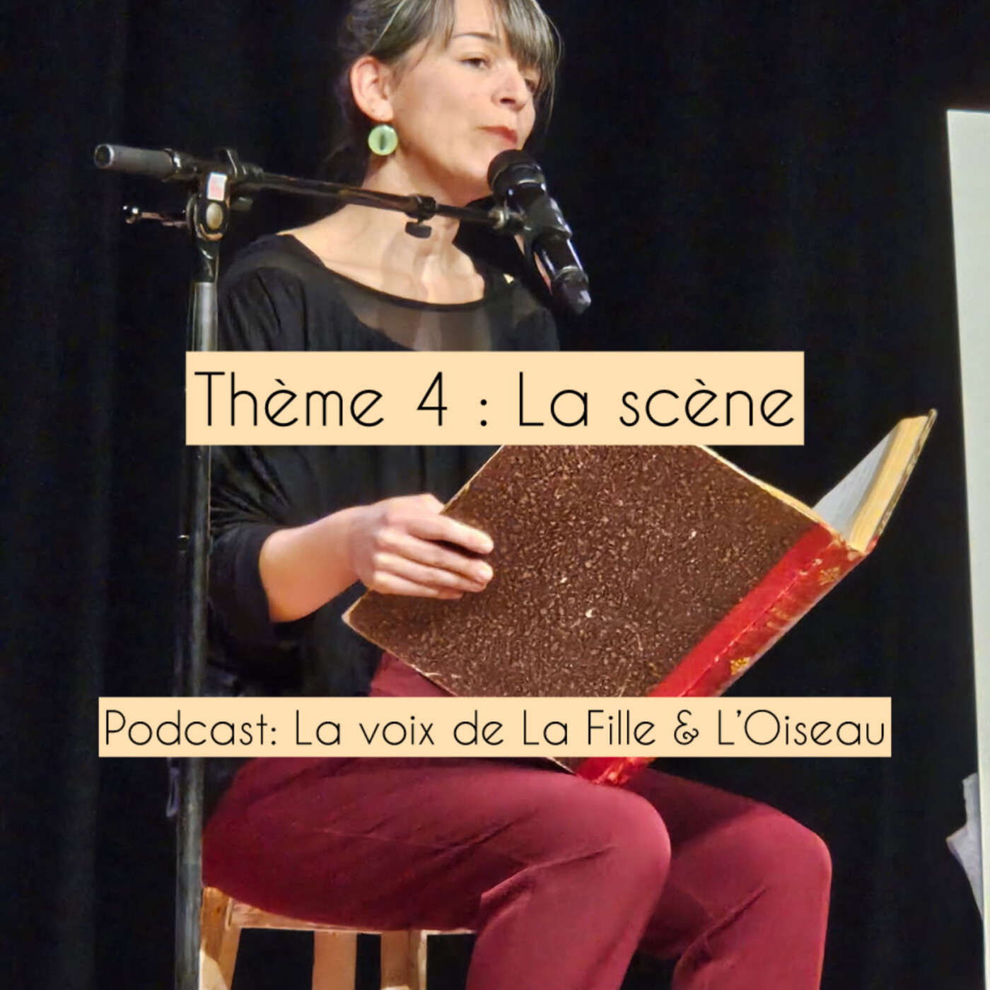 Thème 4 : La scène episode artwork