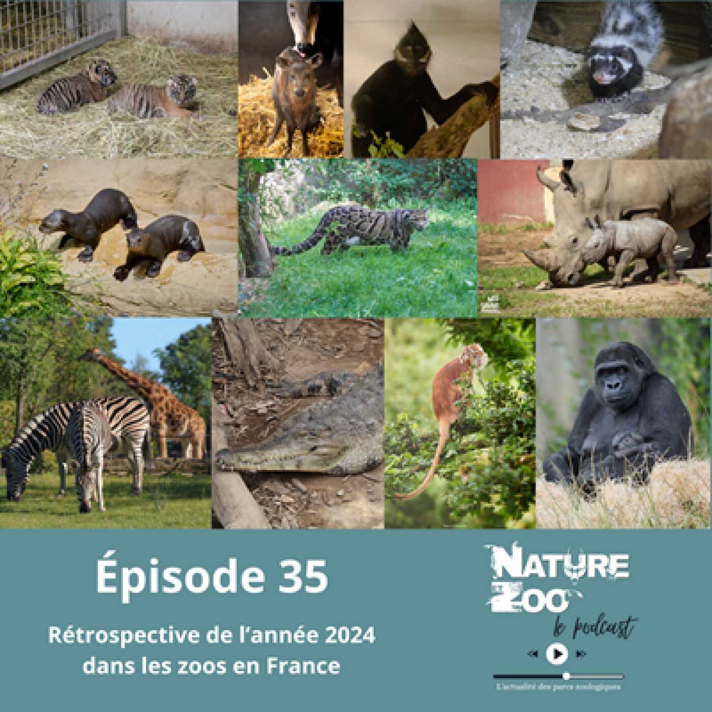 Épisode 35 (Rétrospective) - Retour sur les actualités et nos visites en 2024 avec Mathieu et Nicolas episode artwork