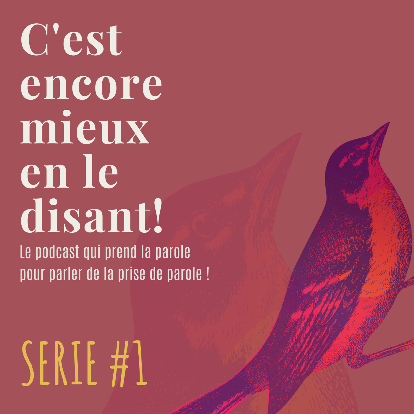 Bande annonce Serie #1 episode artwork