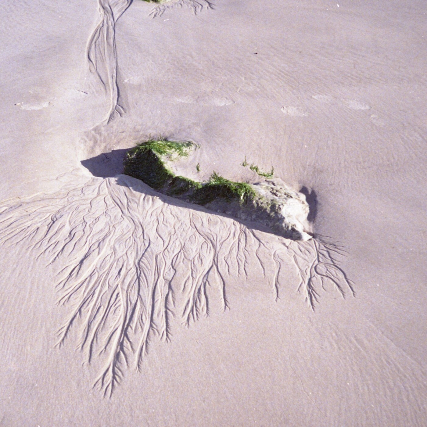 Nos chemins dans des traces podcast artwork